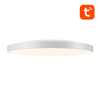 Inteligens mennyezeti lámpa 32cm WiFi/Bluetooth 16M RGBCW Gosund LB11 1920lm + Távirányító - 0. kép