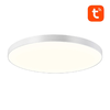 Inteligens mennyezeti lámpa 32cm WiFi/Bluetooth 16M RGBCW Gosund LB11 1920lm + Távirányító - 1. kép