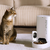 PetKit Yumshare SOLO Okos ételadagoló - 4. kép