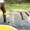 Petsuper Automata Visszahúzható Kutya Póráz 5m (fehér) - 4. kép