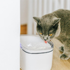 Petoneer Smart Pet Fountain mini szűrő (2 db) - 1. kép