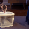 Petsuper PW03 2,5L okos kisállat itató (fehér) - 4. kép