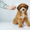 Grooming kefe kutyák és macskák számára Petkit - 3. kép