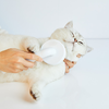 Grooming kefe kutyák és macskák számára Petkit - 4. kép