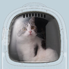 PetKit Breezy 2 Állathordozó táska (Zöld) - 3. kép