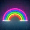 Neon LED Fény RAINBOW 5 szín FLNE14X Forever Light - 2. kép