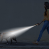 Rojeco Automatikus Póráz LED 5 m (fehér és narancssárga) - 2. kép