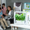 GrowGreen aspara okoscserép Stylist Lite Smart Grower - 0. kép