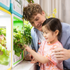 GrowGreen aspara okoscserép Stylist Lite Smart Grower - 2. kép