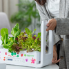 GrowGreen aspara okoscserép Stylist Lite Smart Grower - 4. kép