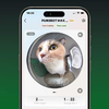 PetKit Purbot MAX PRO intelligens öntisztító macskaalom AI kamerával - 2. kép