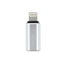 Adapter Type C (női) Lightning (férfi) ezüst