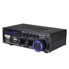 Blitzwolf AS-22 audio erősítő, 45W, Bluetooth 5.0, USB + távirányító (fekete) - 0. kép