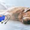 Dogness D01 2l itatókút kisállatoknak (barna) - 2. kép