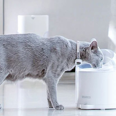 Ersatzfilter für Catlink Pure 2 kút (2 db)