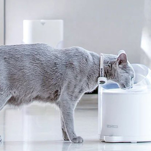 Ersatzfilter für Catlink Pure 2 kút (2 db)