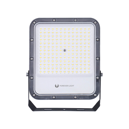 LED Reflektor PROXIM+ 100W 6500K 15000lm 230V IP65 Forever Light 150lm/W