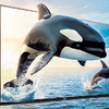 HDMI kábel 2.1 Vention AALBG, 8K 60Hz/ 4K 120Hz, 1,5m (fekete) - 1. kép