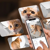 Intelligens öntisztító macskaalmosdoboz Catlink Scooper Pro Ultra - 4. kép