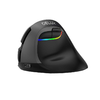 Vezeték nélküli függőleges egér Delux M618Mini BT+2.4G RGB 4000DPI (Iron Gray) - 0. kép