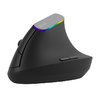 Vezeték nélküli függőleges egér Delux M618C 2.4G 1600DPI RGB (fekete) - 0. kép