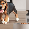 Petlibro Granary kisállat etető, okos ételadagoló egytálcás WiFi, 5L (fehér) - 3. kép