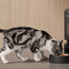 Petlibro Granary WiFi okos ételadagoló, 5L (fekete) - 2. kép
