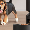 Petlibro Granary WiFi okos ételadagoló, 5L (fekete) - 3. kép