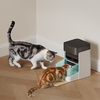 Petlibro RFID intelligens ételadagoló nyakörvvel, 3L - 4. kép