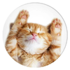 PopSockets 2 Snoozy Cat tartó és telefontámasz - 0. kép