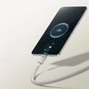 Baseus - Titanium adatkábel (P10378102G21-00) - USB-ről Type-C-re 100W, Gyors töltés, 480Mbps, Nejlon, 1m - Ezüst - 3. kép