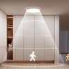 Jelenlétérzékelős Mennyezeti Lámpa Yeelight MercuryE C260 - 2. kép