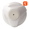 WiFi Vízérzékelő NEO NAS-WS02W TUYA - 1. kép
