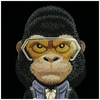 iPhone 17 Pro - Fekete Nimmy Cool&Cute 2.0 Gorilla tok - 4. kép  iPhone 17 Pro - Fekete Nimmy Cool&Cute 2.0 Gorilla tok - 4. kép