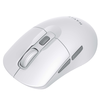 Wireless Mouse (MS59WB) - 2.4GHz, 800/1200/1600 DPI, ABS, PC, AA elem - Fehér Havit - 1. kép