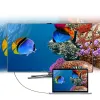 Choetech Egyirányú USB Type-C - Display Port 4K 1.8m fekete (XCP-1801BK) - 4. kép