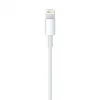 Apple USB A - Lightning kábel 0.5m fehér (ME291ZM/A) - 2. kép